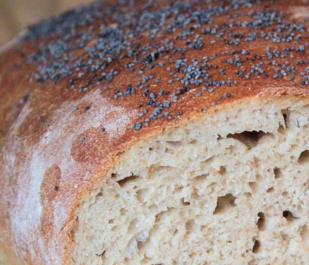 sigtebrød sigtebrød