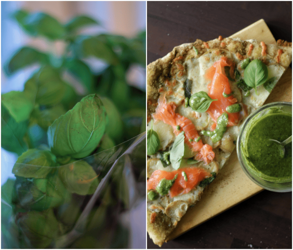 Pizza med kartofler, grøn pesto og laks - opskrift på hjemmelavet pizza 