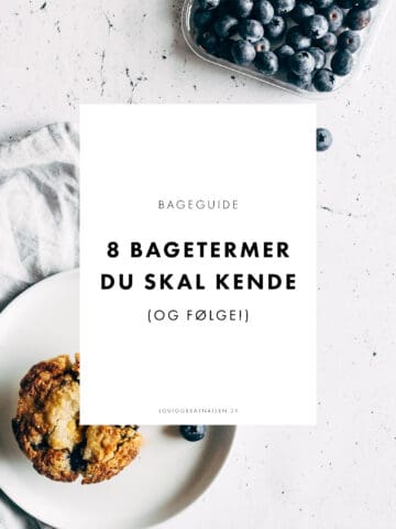 BAGEGUIDE - SÅDAN bager du kager