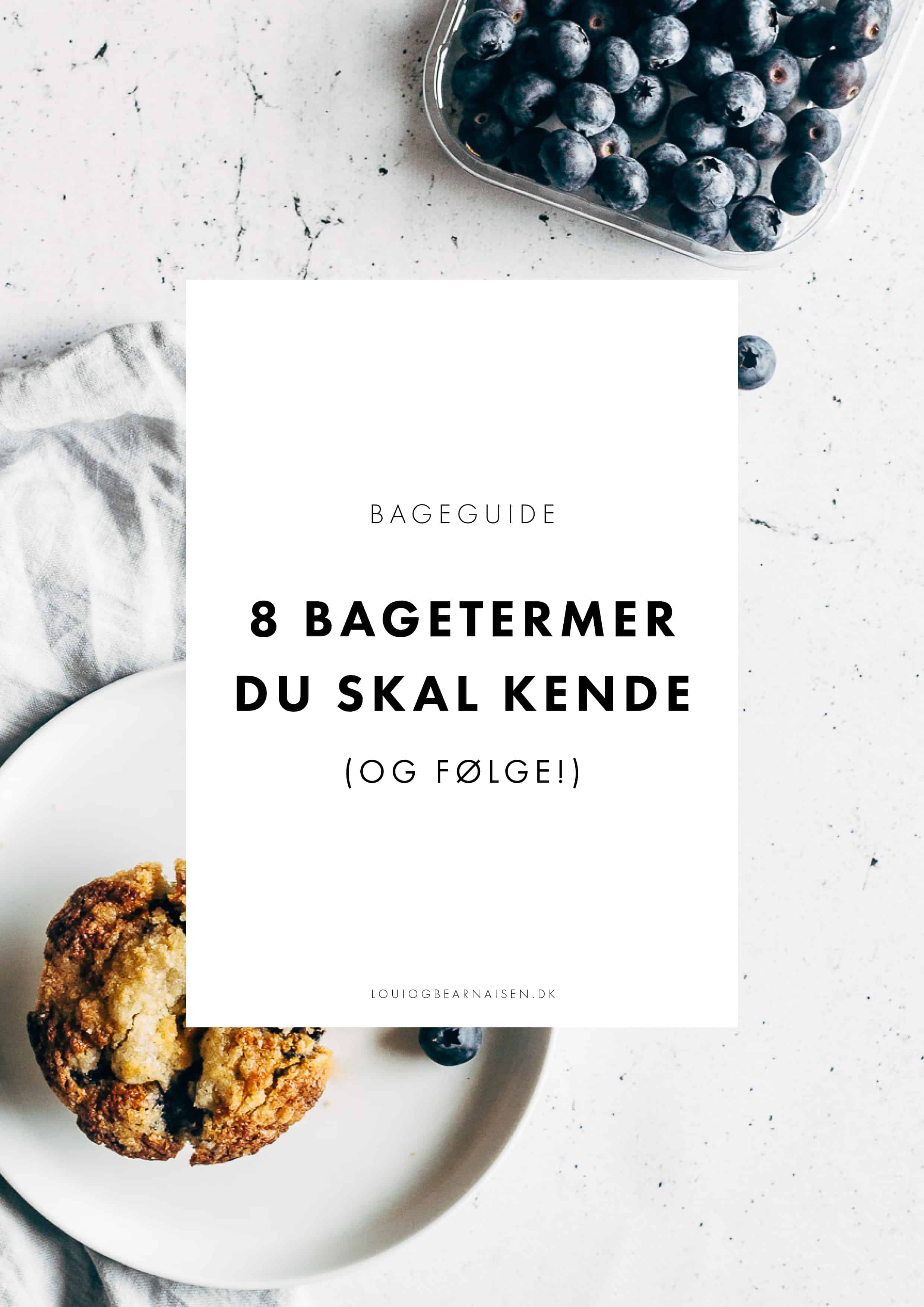 BAGEGUIDE - SÅDAN bager du kager