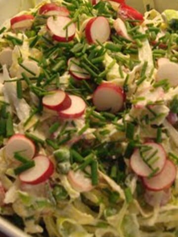 såidskålssalat med dressing