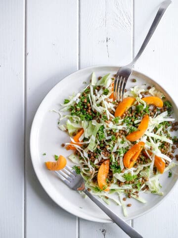 salat med aprikos - spidskål - linser - opskrift