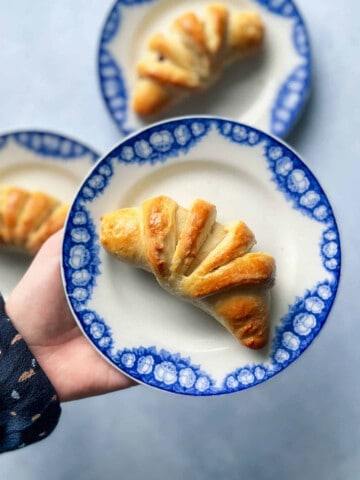æblehorn